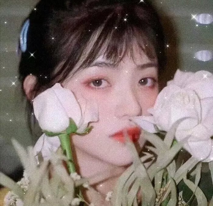 没有鳞片的文森特